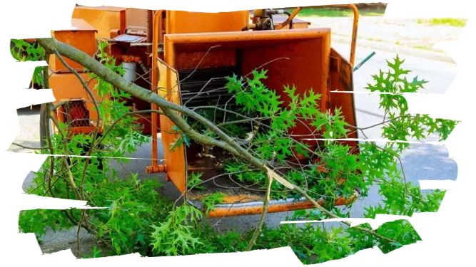 Desbroce fincas y parcelas